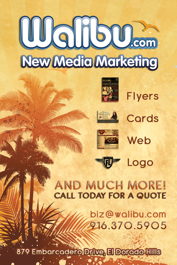 SEO El Dorado Hills SEO El Dorado Hills Flyer